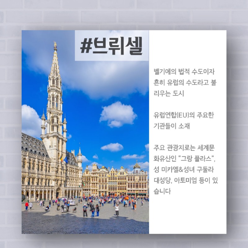3 2024 벨기에 싸이클링 투어.jpg