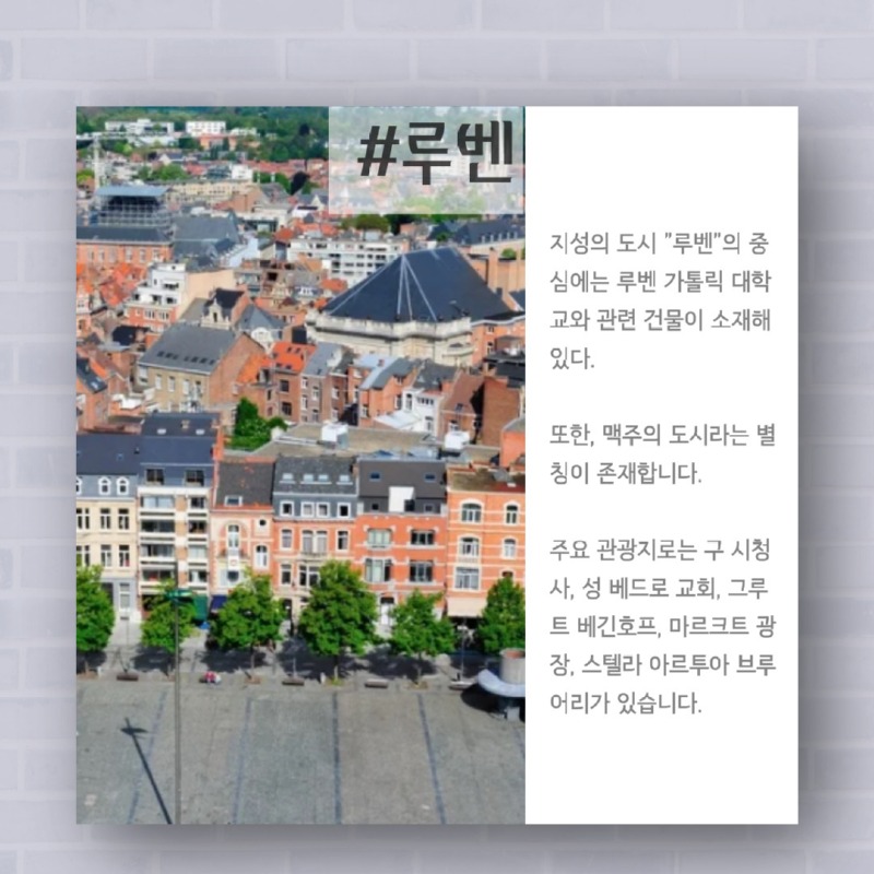 4 2024 벨기에 싸이클링 투어.jpg